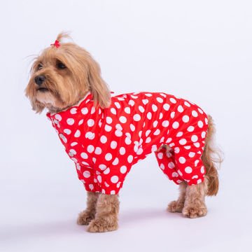 PawStar Kırmızı Puantiyeli Tulum Yağmurluk Küçük ve Orta Irk