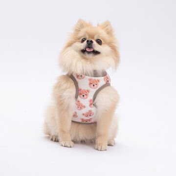PawStar Cute Bears T-Shirt Küçük Irk