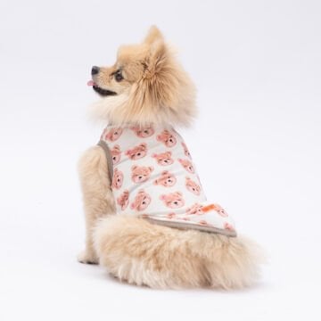 PawStar Cute Bears T-Shirt Küçük Irk