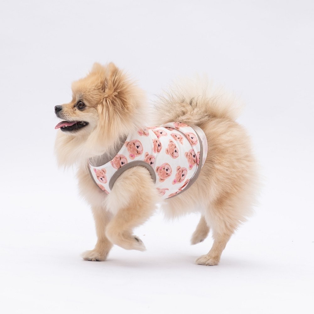 PawStar Cute Bears T-Shirt Küçük Irk