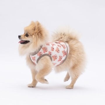 PawStar Cute Bears T-Shirt Küçük Irk