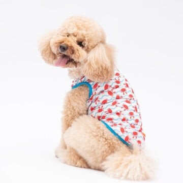 PawStar Fun Crabs  T-Shirt Küçük Irk