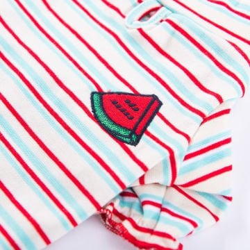 PawStar Cocomero Küçük ve Orta Irk Sweat