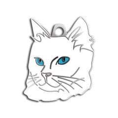 Mavi  Gözlü Van Kedisi Kedi Künyesi
