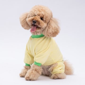 PawStar  Ninja Diet Pijama Tulum