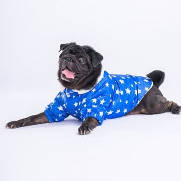 PawStar Mavi Stars Yağmurluk Küçük ve Orta Irk