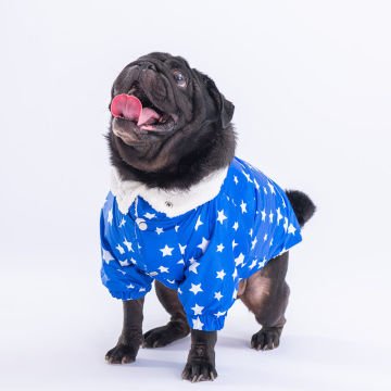 PawStar Mavi Stars Yağmurluk Küçük ve Orta Irk