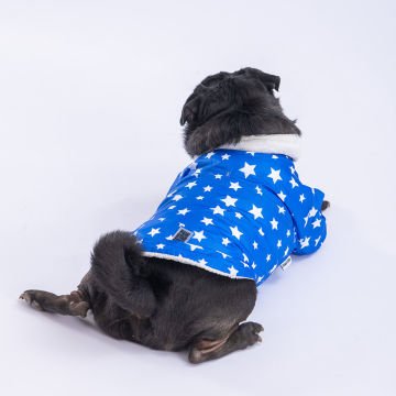 PawStar Mavi Stars Yağmurluk Küçük ve Orta Irk