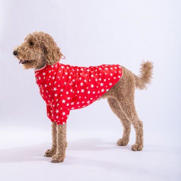 PawStar Kırmızı Stars Büyük Irk Yağmurluk