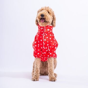 PawStar Kırmızı Stars Büyük Irk Yağmurluk