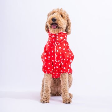 PawStar Kırmızı Stars Büyük Irk Yağmurluk