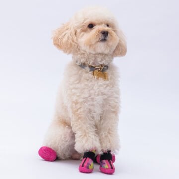 PawStar  Rosea Camouflage Köpek Ayakkabısı