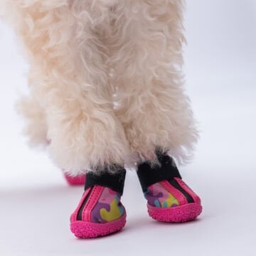 PawStar  Rosea Camouflage Köpek Ayakkabısı