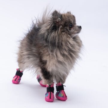 PawStar  Rosea Camouflage Köpek Ayakkabısı