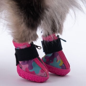 PawStar  Rosea Camouflage Köpek Ayakkabısı