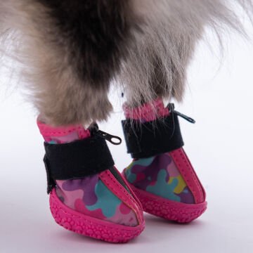 PawStar  Rosea Camouflage Köpek Ayakkabısı