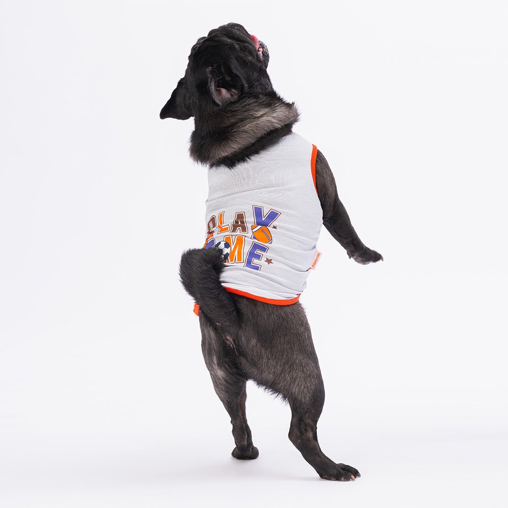 PawStar Gri Sporty T-Shirt