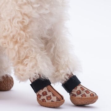 PawStar  Bears Köpek Ayakkabısı
