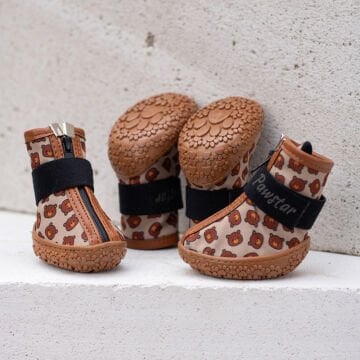 PawStar  Bears Köpek Ayakkabısı