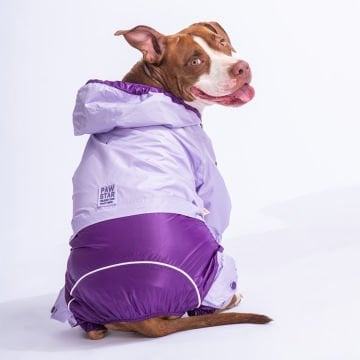 PawStar Lila Mor BiColar  Büyük Irk Yağmurluk