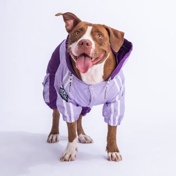 PawStar Lila Mor BiColar  Büyük Irk Yağmurluk