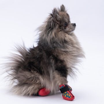 PawStar  Ducks Köpek Ayakkabısı