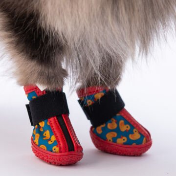 PawStar  Ducks Köpek Ayakkabısı