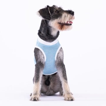 PawStar Ice Blue Lazy T-Shirt