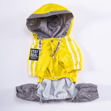 PawStar Sarı-Gri  BiColar  Büyük Irk Yağmurluk