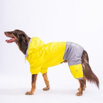 PawStar Sarı-Gri  BiColar  Büyük Irk Yağmurluk