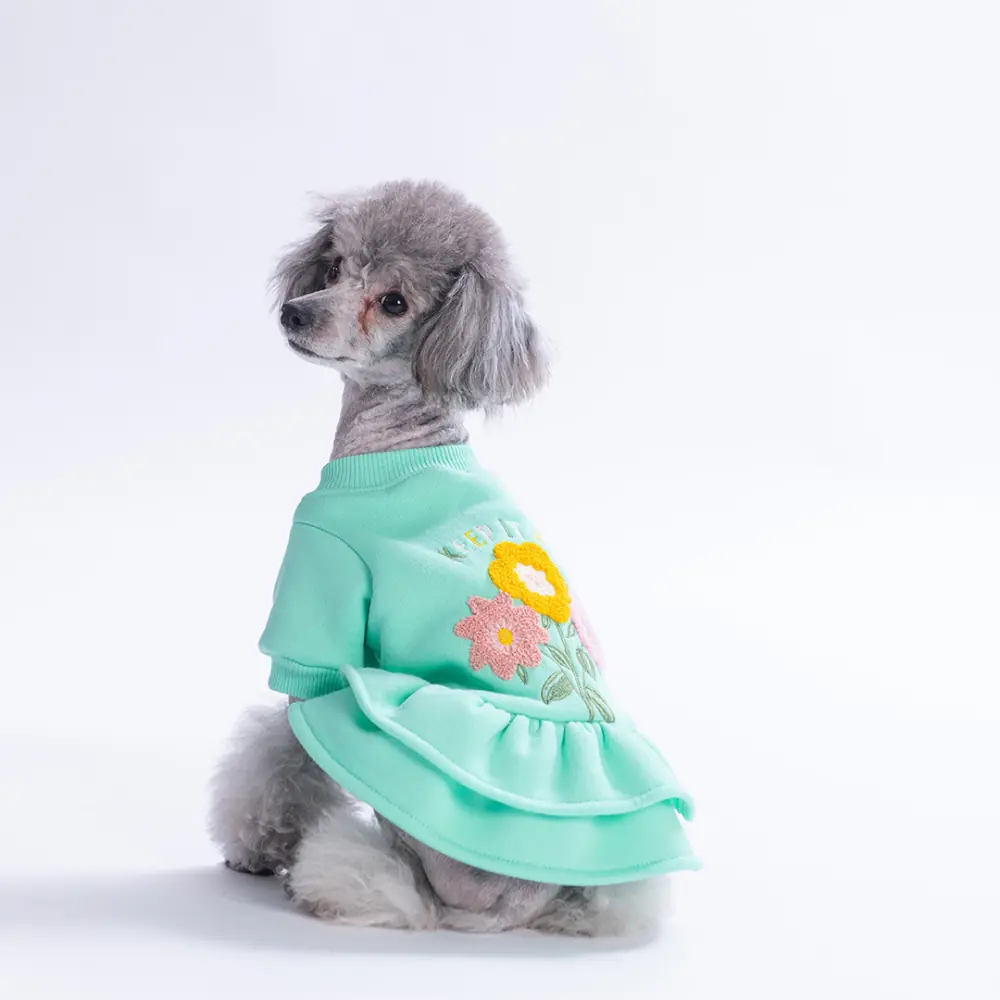 PawStar 26301-Mint Arosa Nivalis Elbise