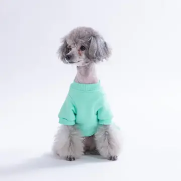 PawStar 26301-Mint Arosa Nivalis Elbise