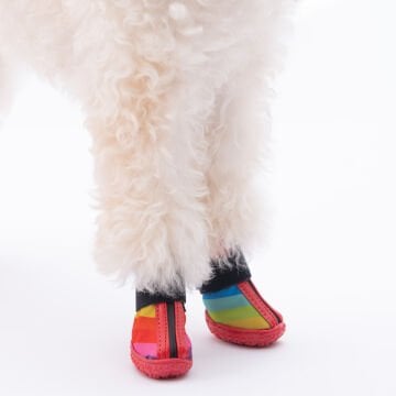 PawStar  Peru Köpek Ayakkabısı