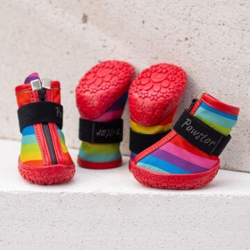 PawStar  Peru Köpek Ayakkabısı