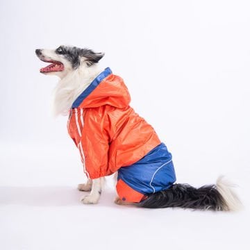 PawStar Turuncu - Lacivert BiColar  Büyük Irk Yağmurluk