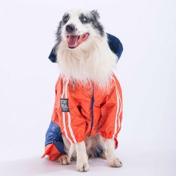 PawStar Turuncu - Lacivert BiColar  Büyük Irk Yağmurluk