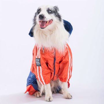 PawStar Turuncu - Lacivert BiColar  Büyük Irk Yağmurluk