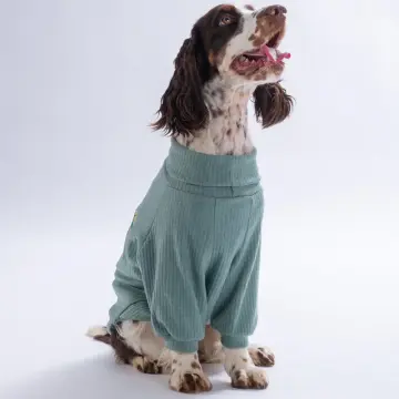 PawStar 26751 -Yeşil Teddy Wood Büyük Sweat