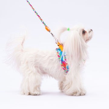 PawStar  Airmesh Mosaic Göğüs Tasması