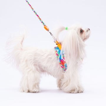 PawStar  Airmesh Mosaic Göğüs Tasması