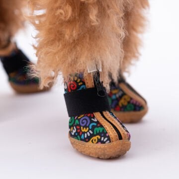 PawStar  Ferrara Köpek Ayakkabısı