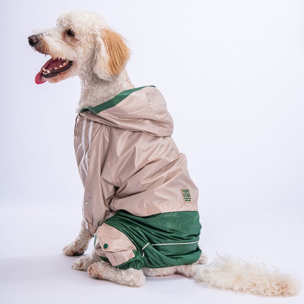 PawStar Bej - Yeşil  BiColar  Büyük Irk Yağmurluk