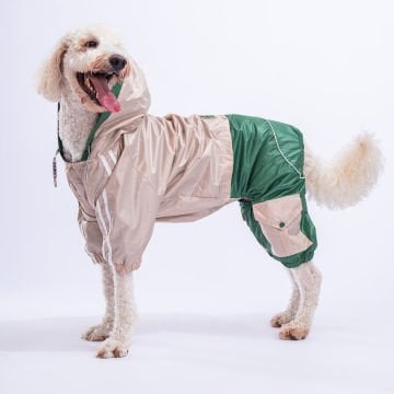 PawStar Bej - Yeşil  BiColar  Büyük Irk Yağmurluk