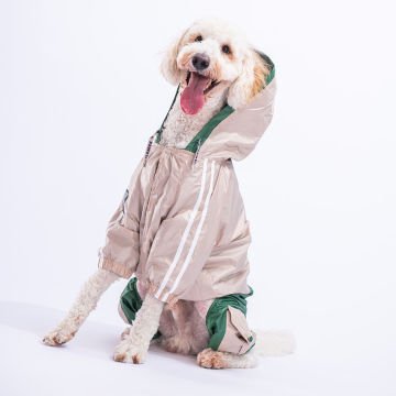 PawStar Bej - Yeşil  BiColar  Büyük Irk Yağmurluk