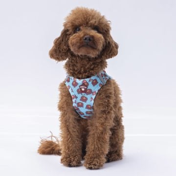 PawStar  Airmesh Bears Göğüs Tasması