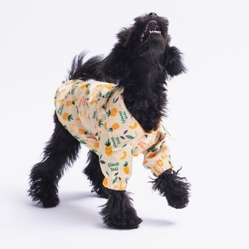 PawStar Pineapple Gömlek