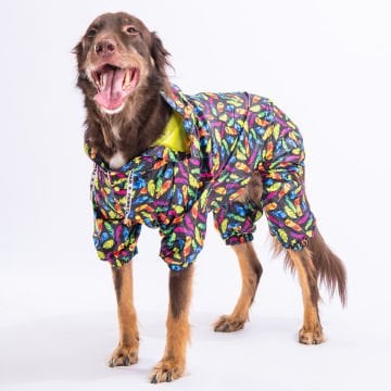 PawStar Plumis  Büyük Irk Yağmurluk