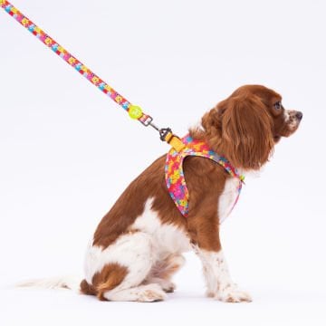 PawStar  Airmesh Monsters Göğüs Tasması