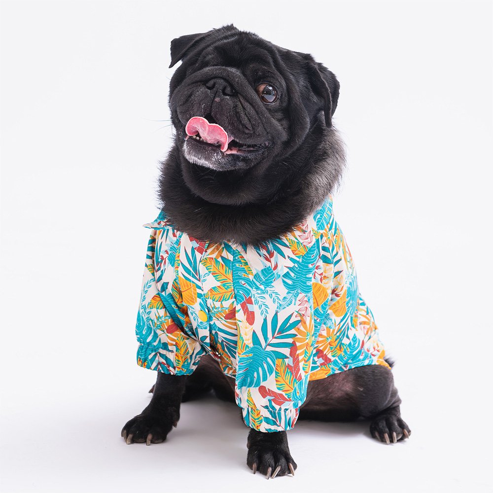 PawStar Folia Gömlek