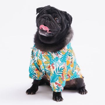 PawStar Folia Gömlek